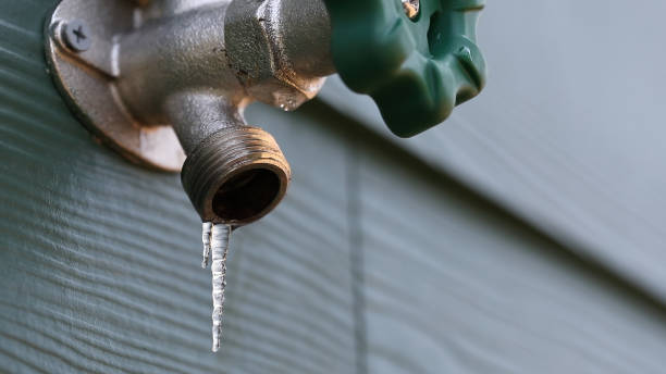 Best Local Plumber Services  in Warren, OH